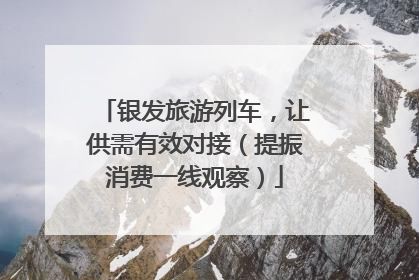 银发旅游列车，让供需有效对接（提振消费一线观察）