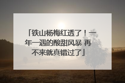 铁山杨梅红透了！一年一遇的酸甜风暴 再不来就真错过了
