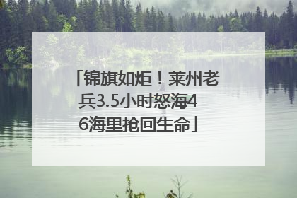 锦旗如炬！莱州老兵3.5小时怒海46海里抢回生命