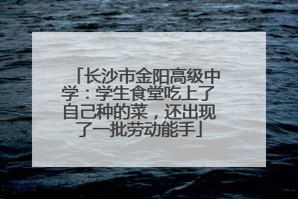 长沙市金阳高级中学：学生食堂吃上了自己种的菜，还出现了一批劳动能手