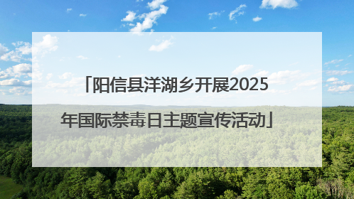 阳信县洋湖乡开展2025年国际禁毒日主题宣传活动