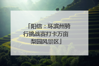 阳信：环滨州骑行挑战赛打卡万亩梨园风景区