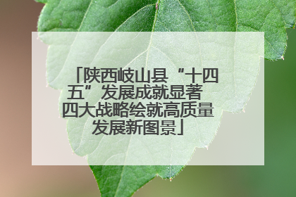 陕西岐山县“十四五”发展成就显著 四大战略绘就高质量发展新图景