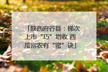 陕西府谷县：梯次上市“巧”增收 西瓜富农有“蜜”诀