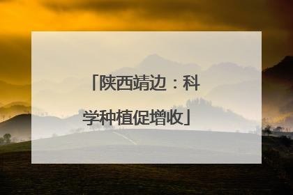 陕西靖边：科学种植促增收