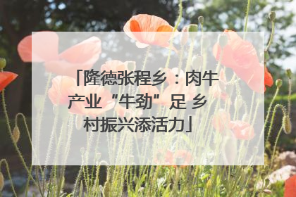 隆德张程乡：肉牛产业“牛劲”足 乡村振兴添活力