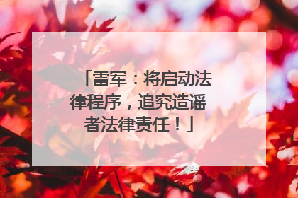 雷军：将启动法律程序，追究造谣者法律责任！