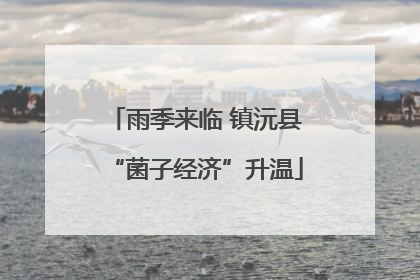 雨季来临 镇沅县“菌子经济”升温
