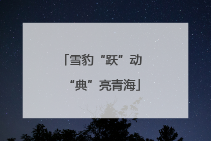 雪豹“跃”动 “典”亮青海