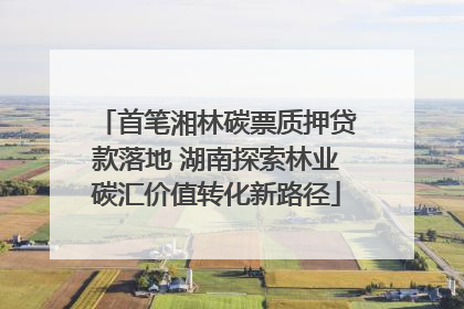 首笔湘林碳票质押贷款落地 湖南探索林业碳汇价值转化新路径