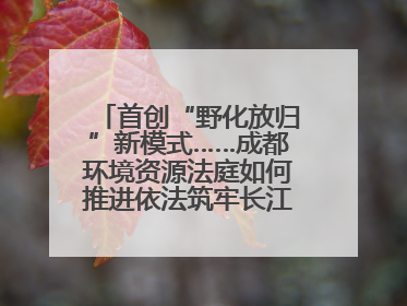 首创“野化放归”新模式……成都环境资源法庭如何推进依法筑牢长江上游生态屏障