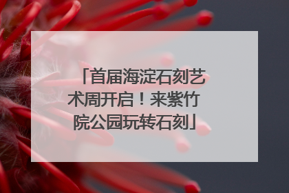 首届海淀石刻艺术周开启！来紫竹院公园玩转石刻