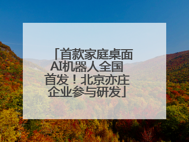 首款家庭桌面AI机器人全国首发！北京亦庄企业参与研发
