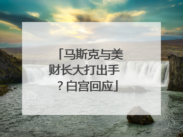 马斯克与美财长大打出手？白宫回应