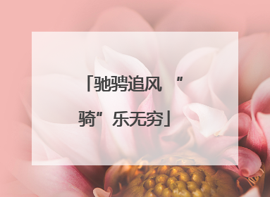 驰骋追风 “骑”乐无穷