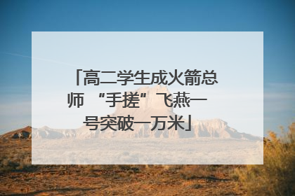 高二学生成火箭总师 “手搓”飞燕一号突破一万米