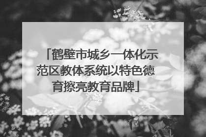 鹤壁市城乡一体化示范区教体系统以特色德育擦亮教育品牌