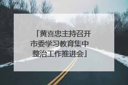 黄喜忠主持召开市委学习教育集中整治工作推进会