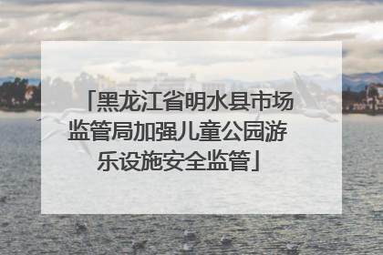 黑龙江省明水县市场监管局加强儿童公园游乐设施安全监管
