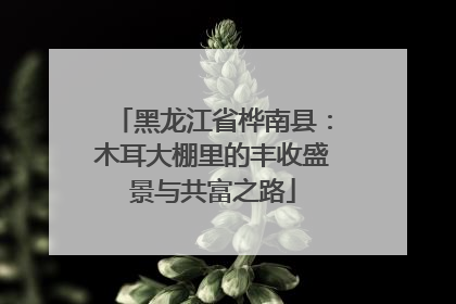 黑龙江省桦南县：木耳大棚里的丰收盛景与共富之路