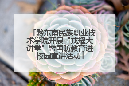 黔东南民族职业技术学院开展“戎耀大讲堂”暨国防教育进校园宣讲活动