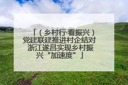 （乡村行·看振兴）党建联建推进村企结对 浙江遂昌实现乡村振兴“加速度”
