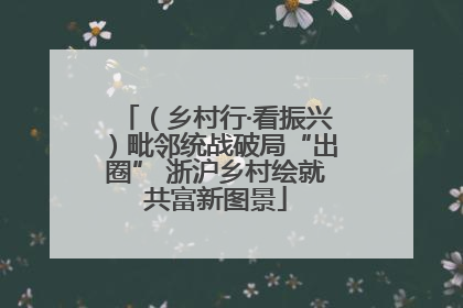 （乡村行·看振兴）毗邻统战破局“出圈” 浙沪乡村绘就共富新图景