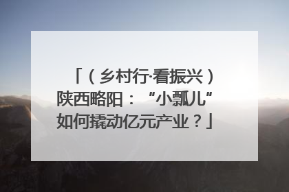 （乡村行·看振兴）陕西略阳：“小瓢儿”如何撬动亿元产业？