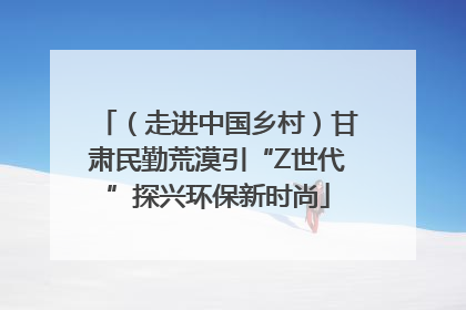 （走进中国乡村）甘肃民勤荒漠引“Z世代”探兴环保新时尚