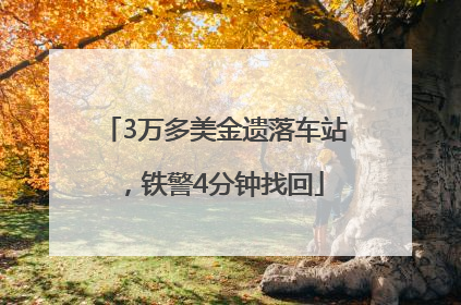 3万多美金遗落车站，铁警4分钟找回