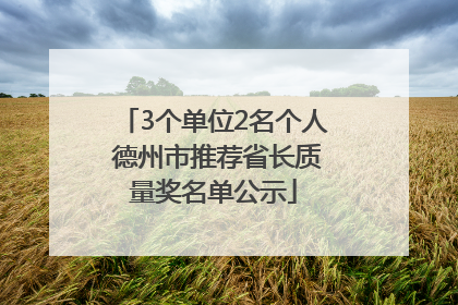 3个单位2名个人 德州市推荐省长质量奖名单公示