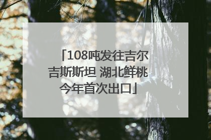 108吨发往吉尔吉斯斯坦 湖北鲜桃今年首次出口
