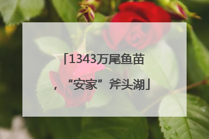1343万尾鱼苗，“安家”斧头湖
