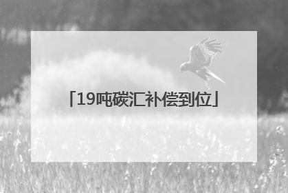 19吨碳汇补偿到位