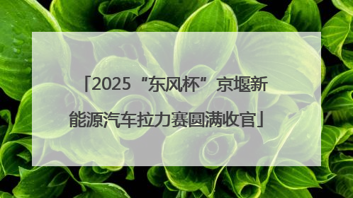 2025“东风杯”京堰新能源汽车拉力赛圆满收官