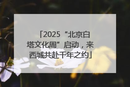 2025“北京白塔文化周”启动，来西城共赴千年之约
