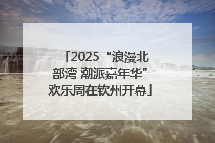 2025“浪漫北部湾 潮派嘉年华”欢乐周在钦州开幕