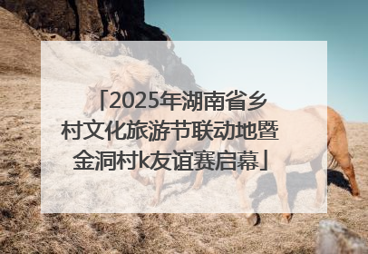 2025年湖南省乡村文化旅游节联动地暨金洞村k友谊赛启幕