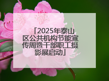 2025年泰山区公共机构节能宣传周暨干部职工摄影展启动