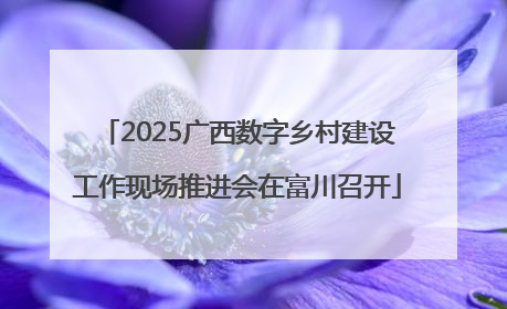 2025广西数字乡村建设工作现场推进会在富川召开