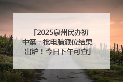 2025泉州民办初中第一批电脑派位结果出炉！今日下午可查