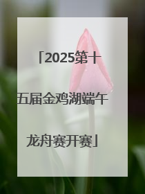 2025第十五届金鸡湖端午龙舟赛开赛