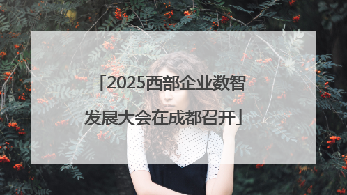2025西部企业数智发展大会在成都召开