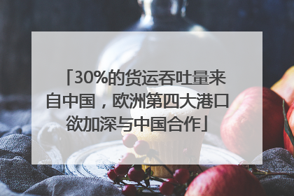 30%的货运吞吐量来自中国，欧洲第四大港口欲加深与中国合作
