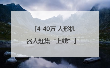 4-40万 人形机器人赶集“上线”