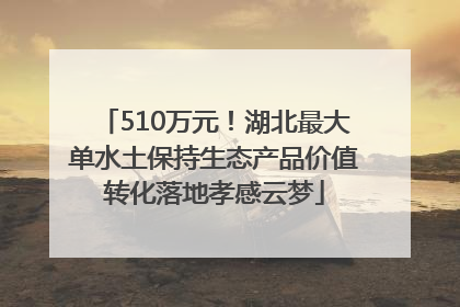 510万元！湖北最大单水土保持生态产品价值转化落地孝感云梦