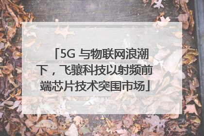 5G 与物联网浪潮下，飞骧科技以射频前端芯片技术突围市场