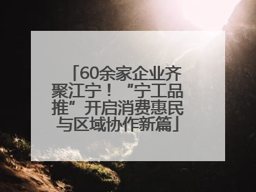 60余家企业齐聚江宁！“宁工品推”开启消费惠民与区域协作新篇