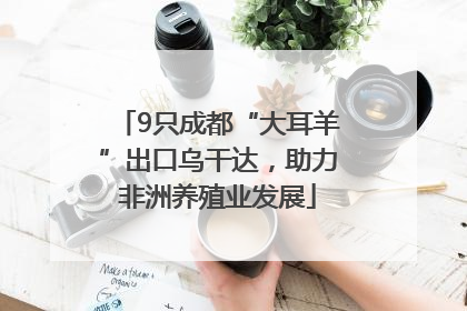 9只成都“大耳羊”出口乌干达，助力非洲养殖业发展