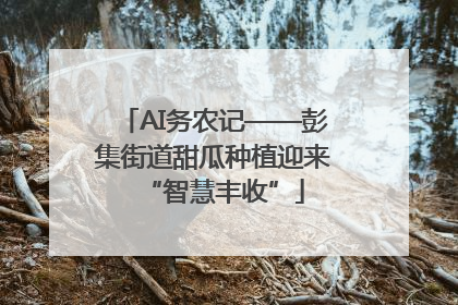 AI务农记——彭集街道甜瓜种植迎来“智慧丰收”